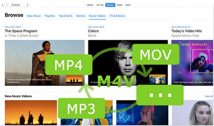 Video Recorder Downloader Download Any Video Recorder – Online Video Downloader – TTWNNM