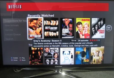 record netflix videos with Any Video Recorder