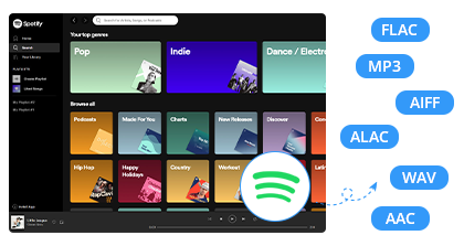 spotify music recorder