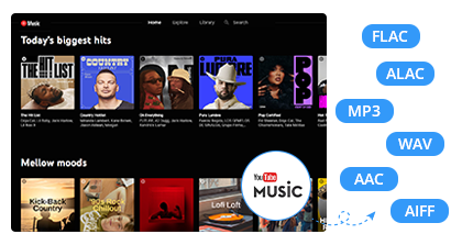 YouTube Music Converter